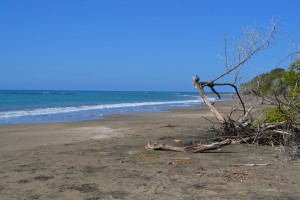 Life in Jamaica: Treasure Beach, St. Elizabeth, Jamaica